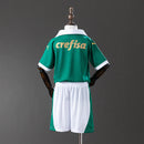 Conjunto Infantil Palmeiras Verde e Branco 2025 – Camisa e Short | Uniforme Esportivo Infantil